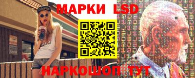 шишки Камышлов
