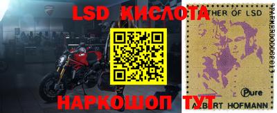 шишки Камышлов