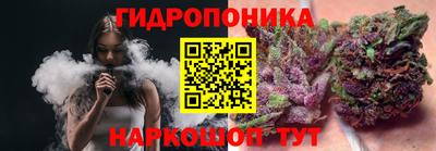 шишки Камышлов