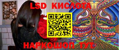 шишки Камышлов
