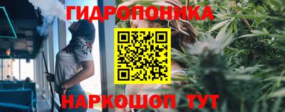 альфа пвп Кандалакша