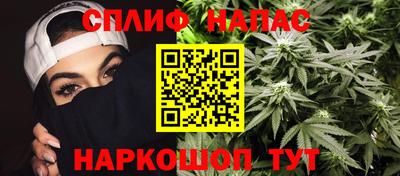 шишки Камышлов