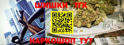 шишки Камышлов