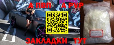 шишки Камышлов